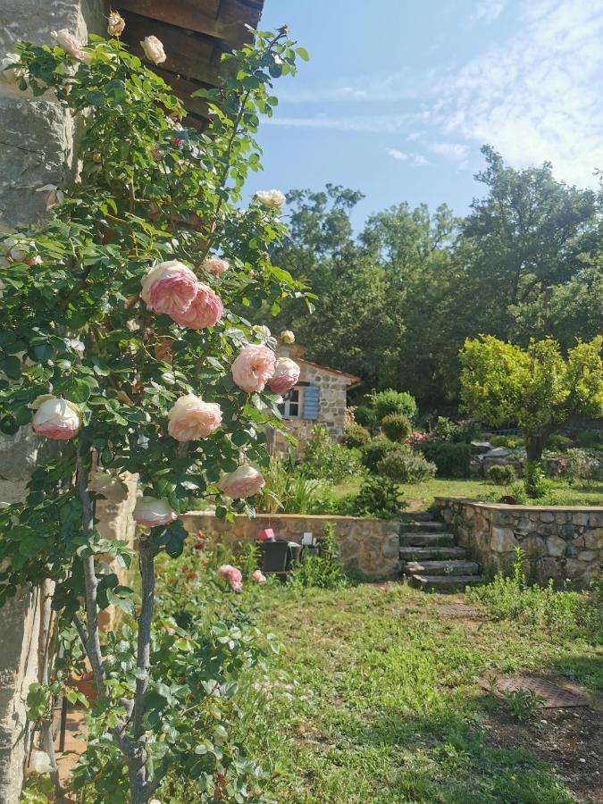 Domaine Geodora, Parfumeur En Provence Villa Montauroux Eksteriør bilde