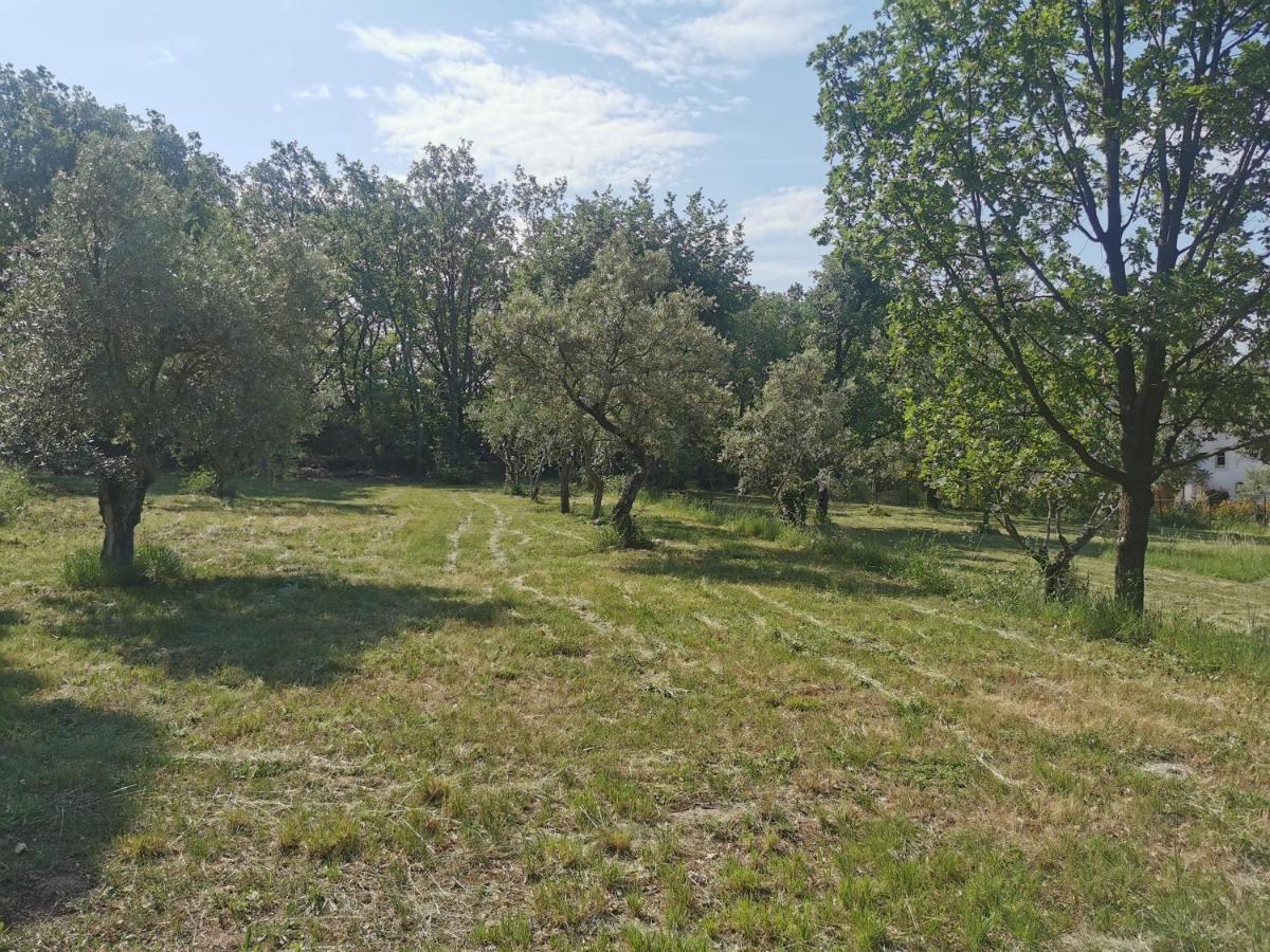 Domaine Geodora, Parfumeur En Provence Villa Montauroux Eksteriør bilde