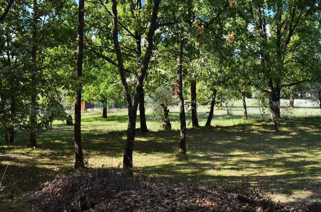 Domaine Geodora, Parfumeur En Provence Villa Montauroux Eksteriør bilde