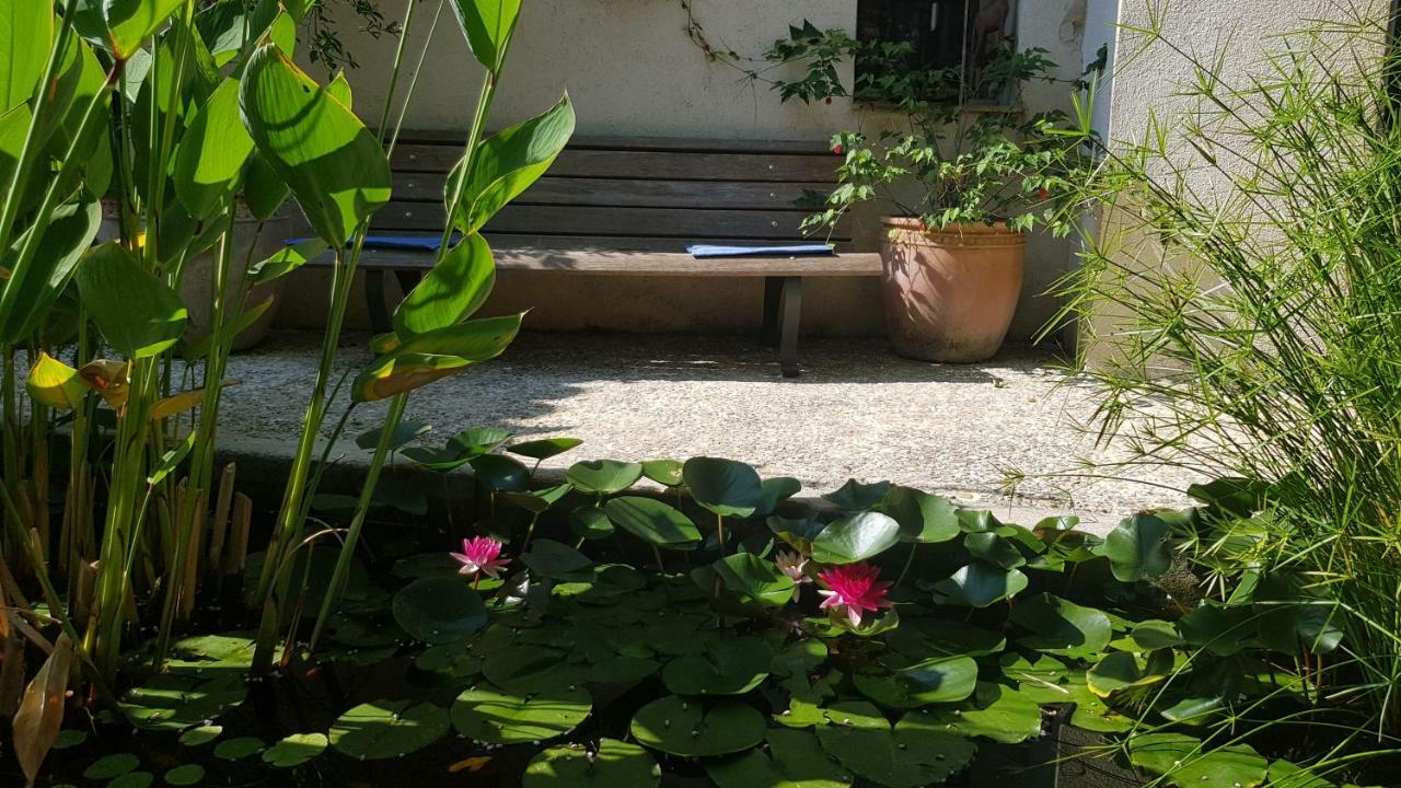 Domaine Geodora, Parfumeur En Provence Villa Montauroux Eksteriør bilde
